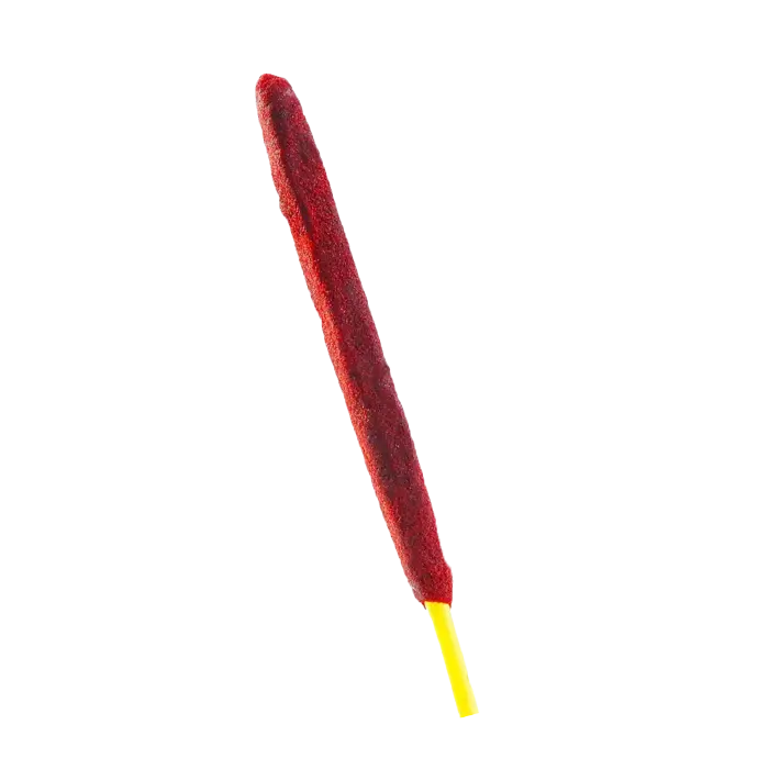 Lanza de Tamarindo Chile